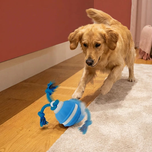 Interaktiver Rollball für Hunde mit Seil & Quietscher