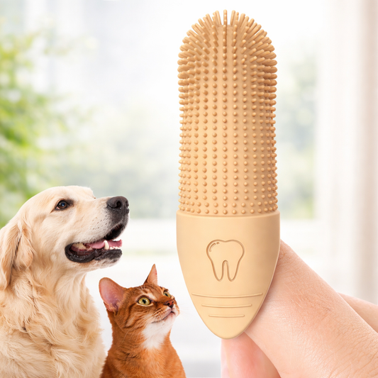 360° Finger-Zahnbürste für Hunde & Katzen