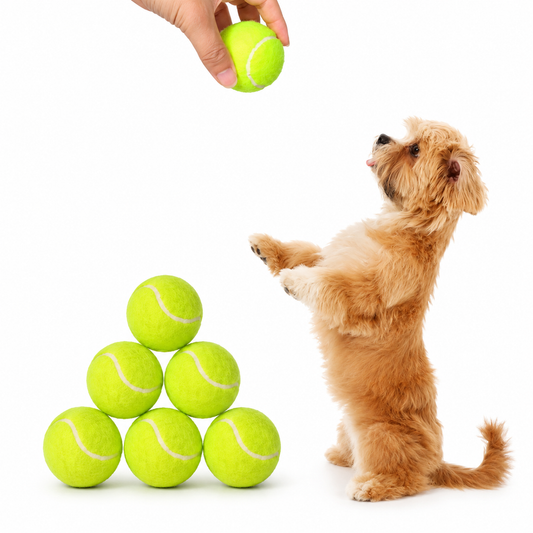 Tennisbälle für Hunde