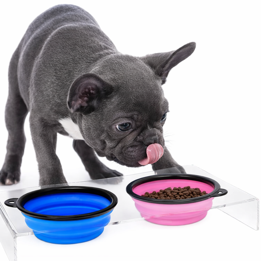 2-in-1 Reise-Futternapf für Hunde & Katzen