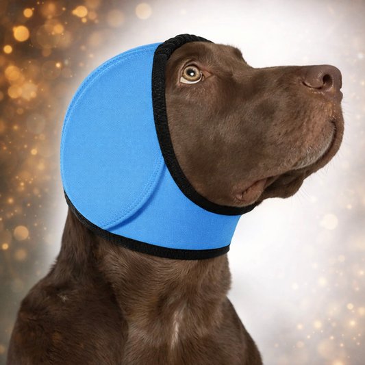 Geräuschreduzierender Ohrenschutz für Hunde