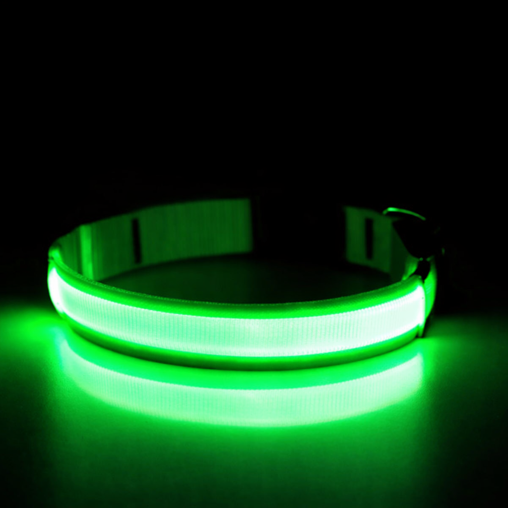 LED-Leuchthalsband USB