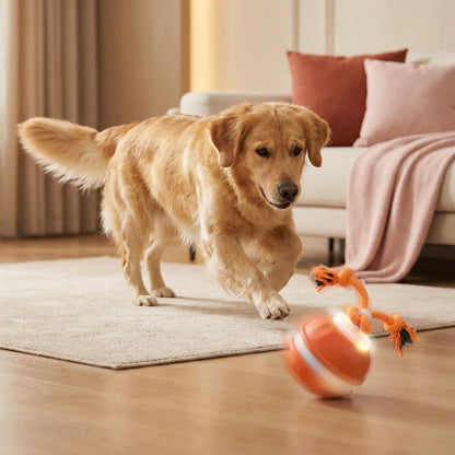 Interaktiver Rollball für Hunde mit Seil & Quietscher