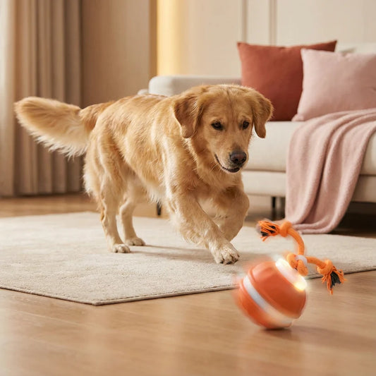Interaktiver Rollball für Hunde mit Seil & Quietscher