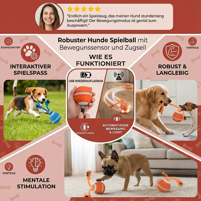 Interaktiver Rollball für Hunde mit Seil & Quietscher