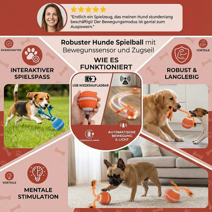 Interaktiver Rollball für Hunde mit Seil & Quietscher