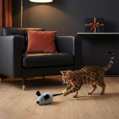 Interaktive Spielmaus für Katzen