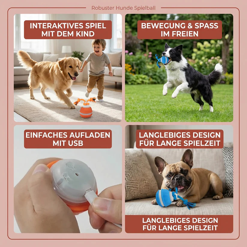 Interaktiver Rollball für Hunde mit Seil & Quietscher