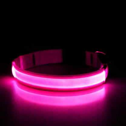 LED-Leuchthalsband USB