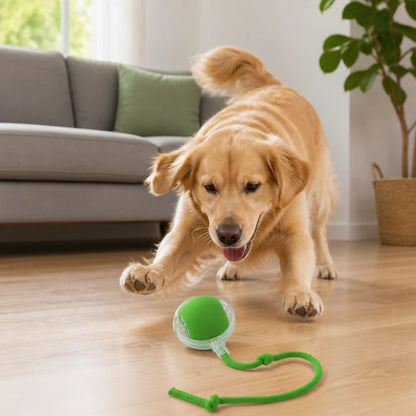 Automatischer Interaktiver Katzenball