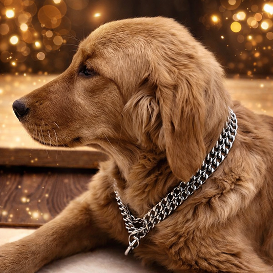 Verstellbares Trainingshalsband für Hunde