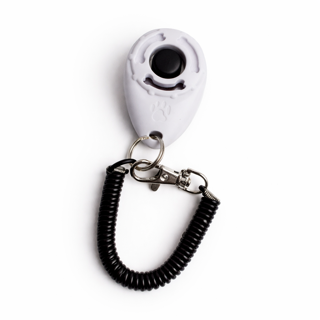 2-in-1 Hundetraining Clicker mit Handschlaufe