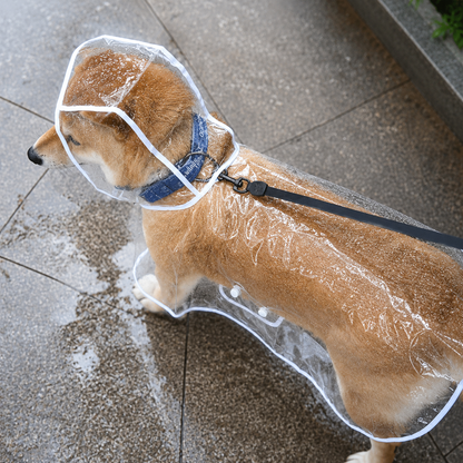 Transparenter Hunde Regenmantel mit Kapuze