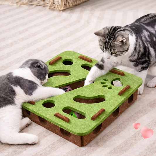Interaktives Katzenspielzeug mit Ball