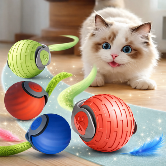 Automatischer Interaktiver Katzenball