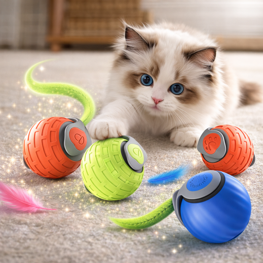 Automatischer Interaktiver Katzenball