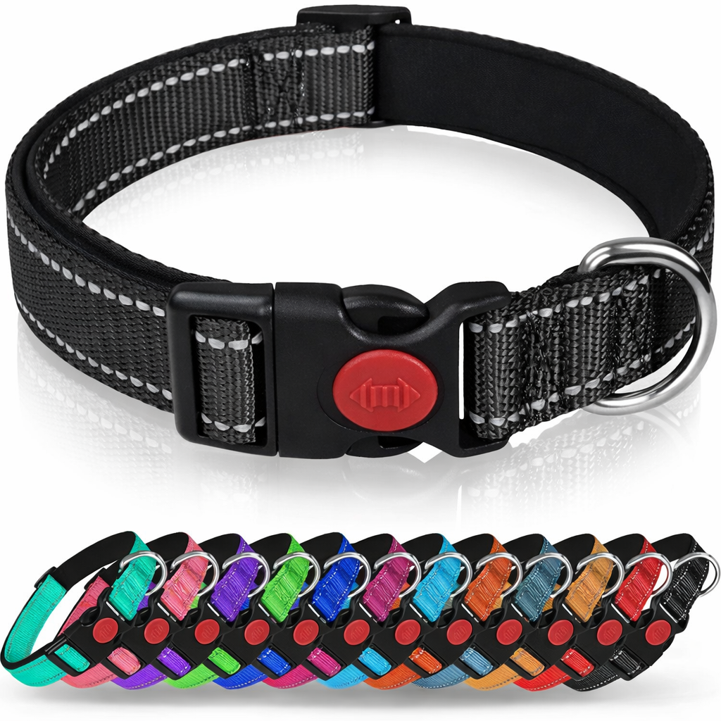 Reflektierendes Nylon Hunde und Katzenhalsband
