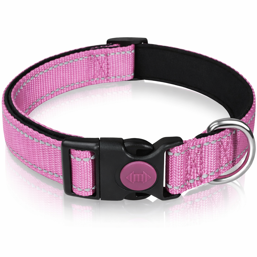 Reflektierendes Nylon Hunde und Katzenhalsband