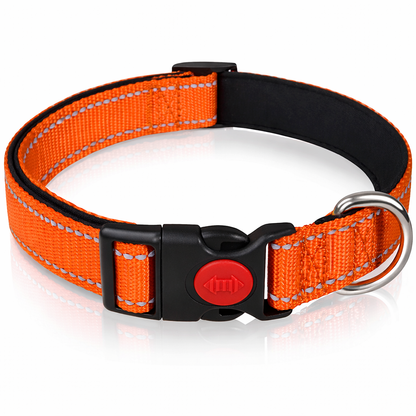 Reflektierendes Nylon Hunde und Katzenhalsband