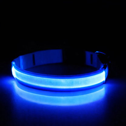 LED-Leuchthalsband USB
