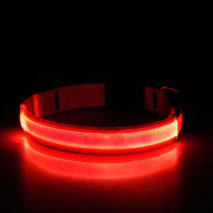 LED-Leuchthalsband USB