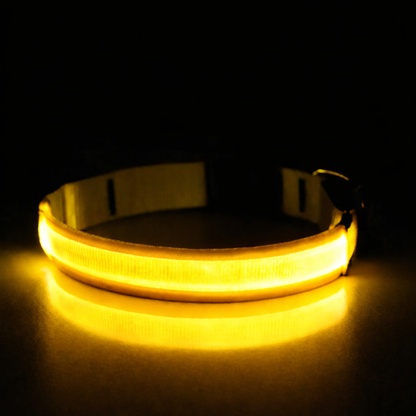 LED-Leuchthalsband USB