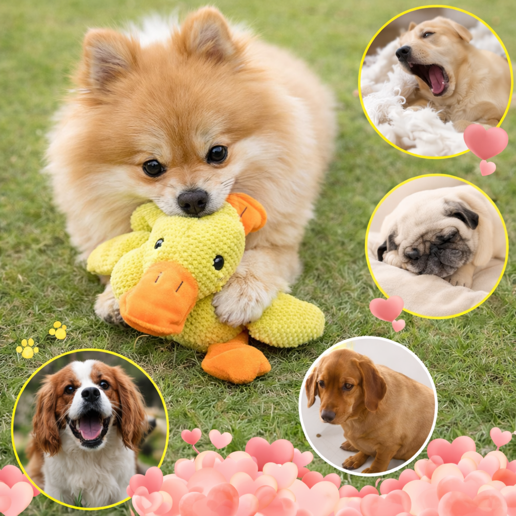 Quietsch-Hundespielzeug „Robuste Ente“