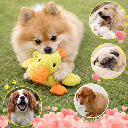 Quietsch-Hundespielzeug „Robuste Ente“