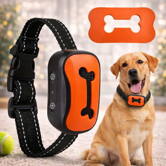 Anti-Bellen Hundehalsband