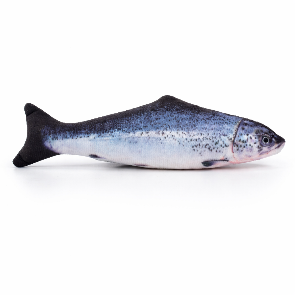 Interaktiver Floppy Fisch für Katzen