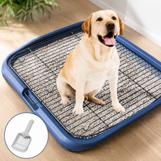Edelstahl Hunde Toilette für große & mittelgroße Hunde