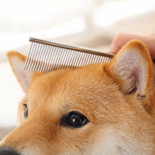 Edelstahl Fellkamm für Hunde & Katzen
