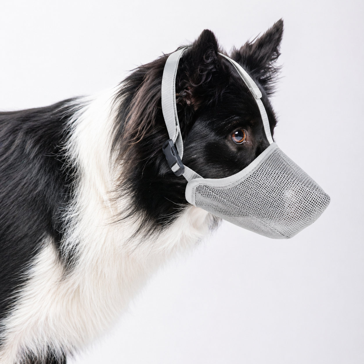 Weicher Hundemaulkorb aus Mesh