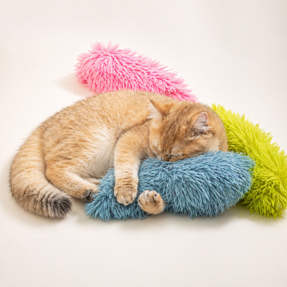 Interaktive Katzenangel mit Plüschkissen
