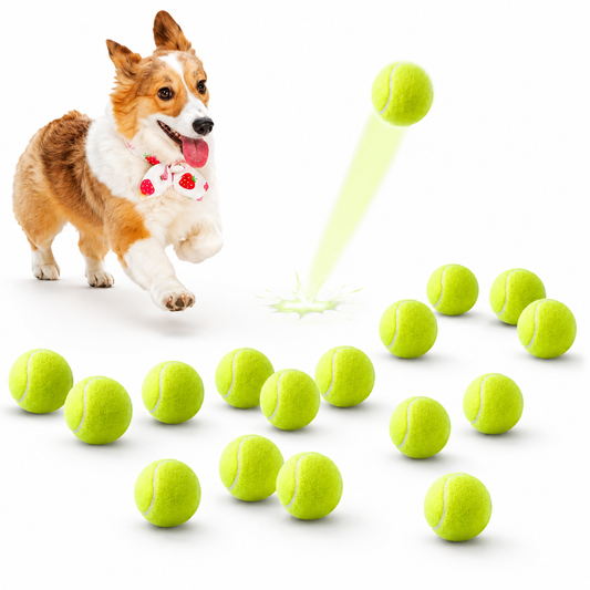 Tennisbälle für Hunde