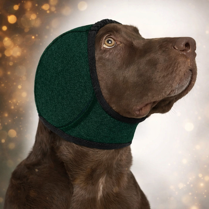 Geräuschreduzierender Ohrenschutz für Hunde