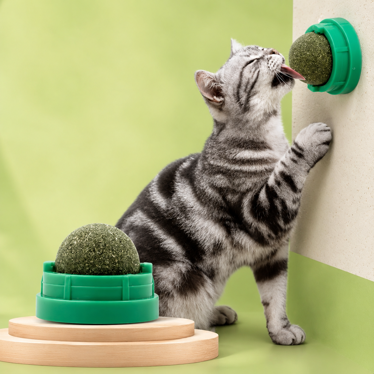 Katzenminze Wandball für Katzen