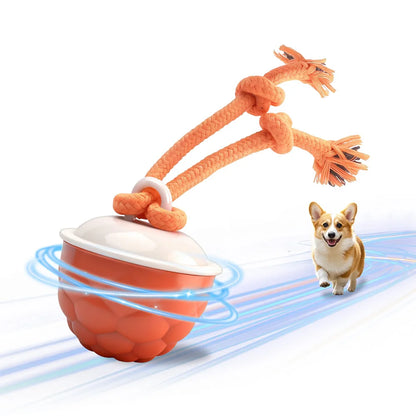 Interaktiver Rollball für Hunde mit Seil & Quietscher