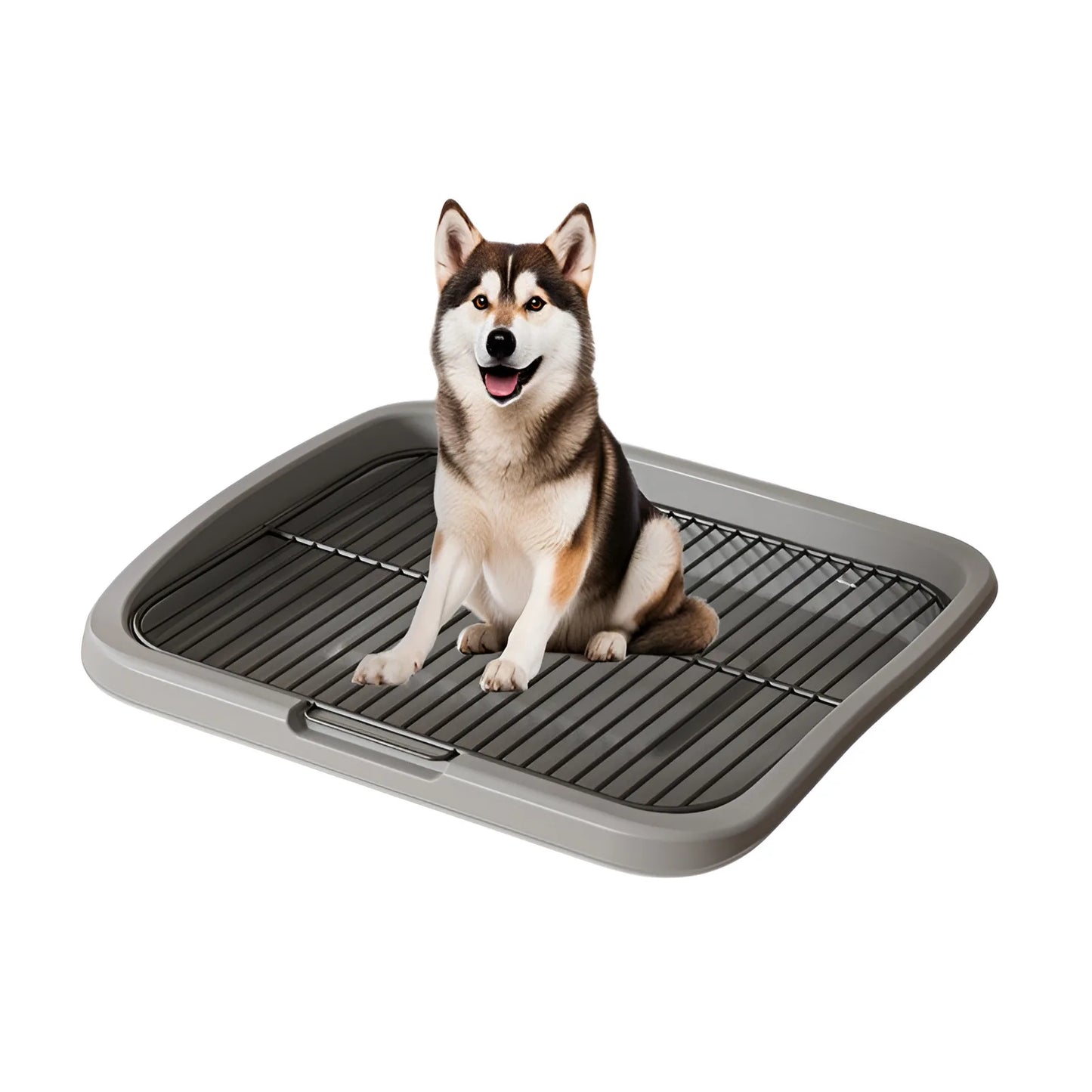 Edelstahl Hunde Toilette für große & mittelgroße Hunde
