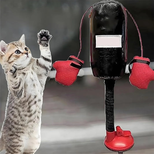 Interaktiver Katzen Boxsack