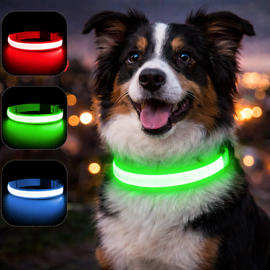 LED-Leuchthalsband USB