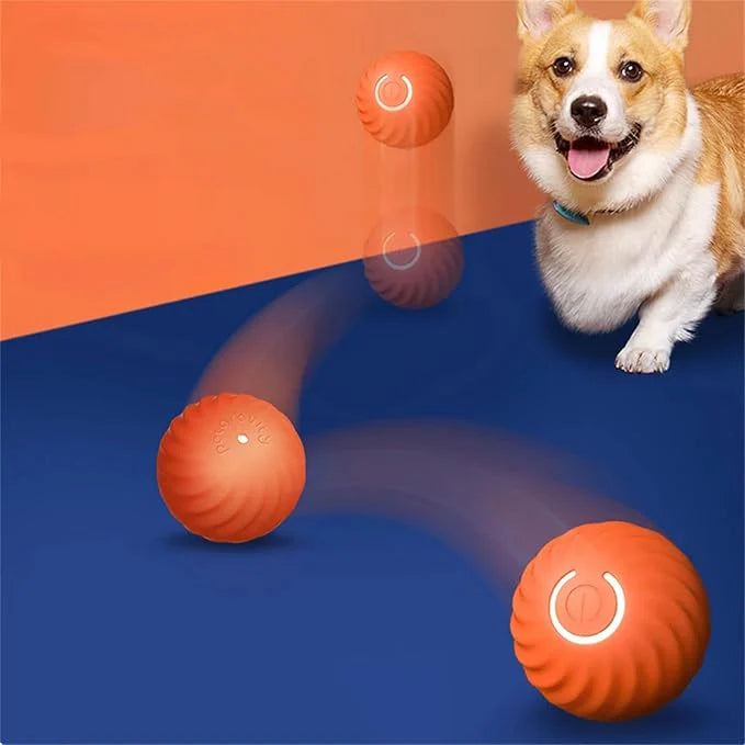 Interaktiver Springball für Hunde
