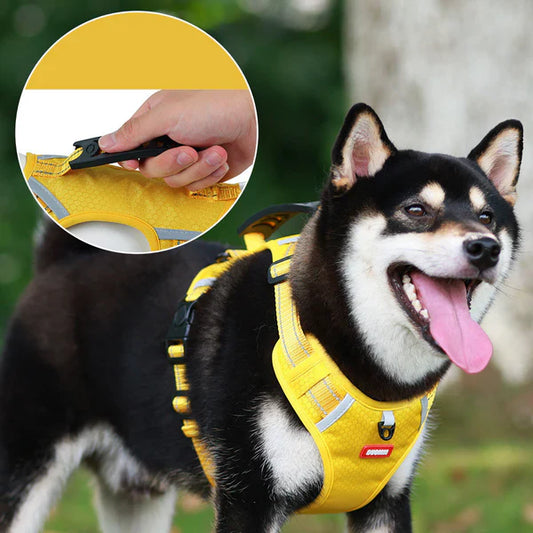 Anti-Zug Hundegeschirr mit Leine