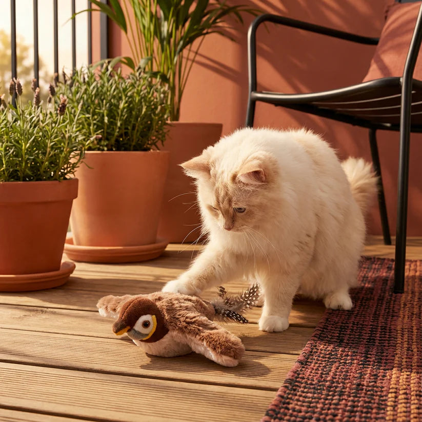 Interaktiver Flattervogel für Hunde & Katzen