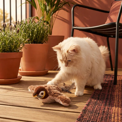 Interaktiver Flattervogel für Hunde & Katzen