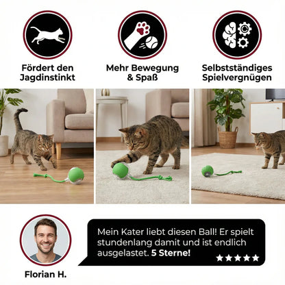 Interaktiver Elektrischer Spielball für Hunde & Katzen