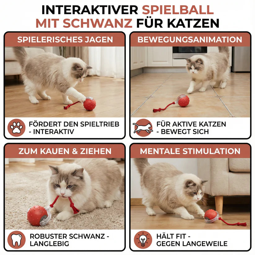 Interaktiver Elektrischer Spielball für Hunde & Katzen