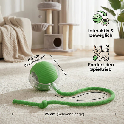 Interaktiver Elektrischer Spielball für Hunde & Katzen